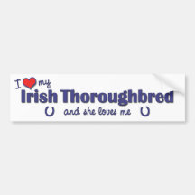 Amo mi pura sangre irlandés (el caballo femenino) pegatina de parachoque