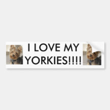 ¡AMO MI YORKIES!!!! PEGATINA DE PARACHOQUE