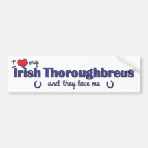 Amo mis pura sangre irlandeses (los caballos múlti etiqueta de parachoque