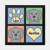 Amo Newfoundlands Imán