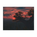 Among The Ancients Postcard