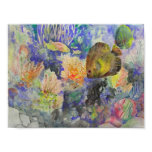 Among the Coral posters
