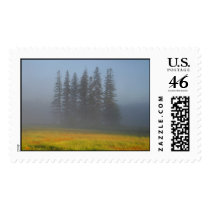 Among The Haze postage