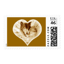 Amor del lobo envio