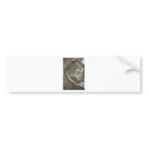 Amor et Psyche Bumper Stickers