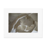 Amor et Psyche Postcard