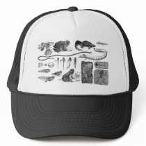 Amphibian Evolution Mesh Hat
