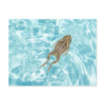 Amphibian Postcard 01