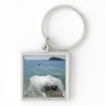 Amphibious Assault vehicles exit the well deck Key Chains