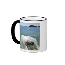 Amphibious Assault vehicles exit the well deck Mugs