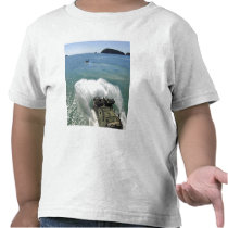 Amphibious Assault vehicles exit the well deck Tee Shirts