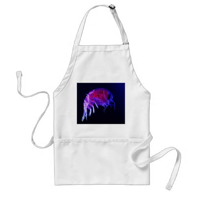 Amphipod Hyperiidae Hyperia Macrocephala Aprons by amazinganimals