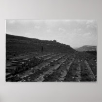 Amphitheater Limestone Quarry in the Crimea