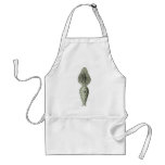 Amphoridea Apron