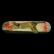 AMPS, Do it Best skateboards