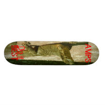 AMPS, Do it Best Skate Board