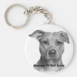 AMPT Key chain