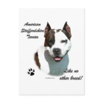AmStaff Like No Other Breed postcards