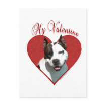 AmStaff My Valentine postcards