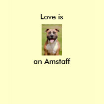 Amstaff t-shirts