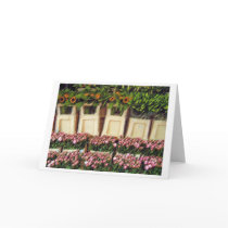 "Amsterdam Flowers" cards