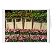 "Amsterdam Flowers" Greeting Cards