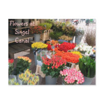 Amsterdam flowers postcards