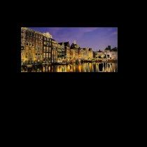 AMSTERDAM (MOJISOLA ONIFADE) t-shirts