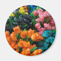 Amsterdam Tulips Fridge Magnet