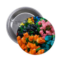 Amsterdam Tulips Pinback Buttons