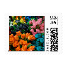 Amsterdam Tulips Stamp