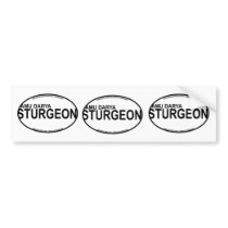 AmuDarya Sturgeon Euro Stickers Bumper Stickers