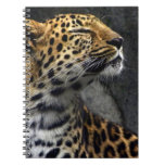 "Amur King" Notebook
