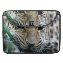 Amur Leopard 15" MacBook Sleeve Sleeve For MacBooks