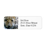 Amur Leopard Mailing Labels