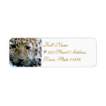 Amur Leopard Mailing Labels