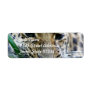 Amur Leopard Return Address Mailing Labels
