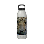 Amur Leopard Water Bottle