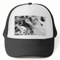 Amur's eye b w hats