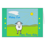 Amusing Birthday card, with sheep.