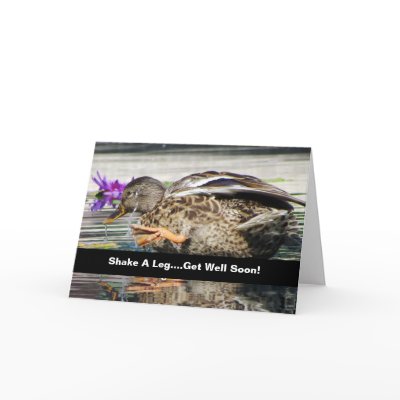 Amusing Mallard Get Well Card by Koobear