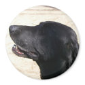 Amy Elizabeth Black Lab Magnet by sunsett76 Amy Elizabeth Black Lab Magnet