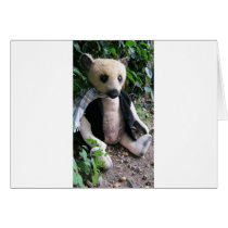 Amy Goodrich Collectables "Blonde gent bear"(02)