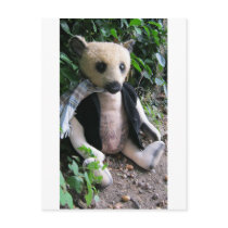 Amy Goodrich Collectables "Blonde gent bear"(02) Post Card