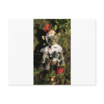 Amy Goodrich Collectables "Grey cat & bear" image Post Card