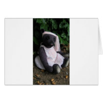 Amy Goodrich Collectables "purple ballerina bear "