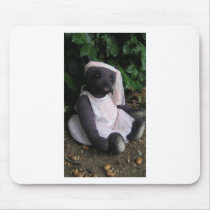 Amy Goodrich Collectables "purple ballerina bear "