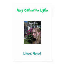 amy lives here posters by amylytle amy lives here posters