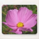 Amy mousepads