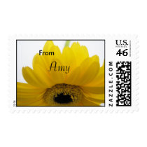 Amy Postage